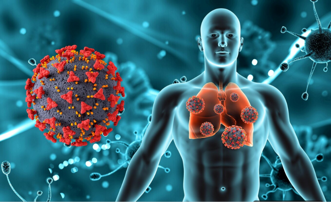 Humans Only Suffer from One Disease—Cellular Disease